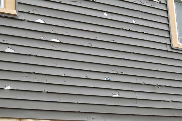 How To Choose The Right Materials for Your Siding Installation in 'Gramercy, LA